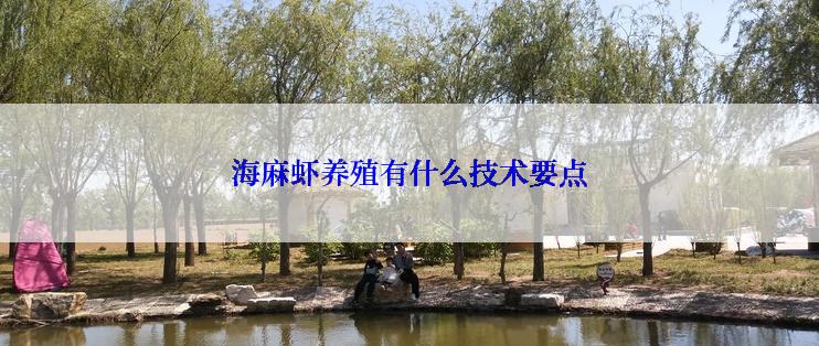 海麻虾养殖有什么技术要点