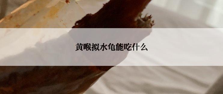黄喉拟水龟能吃什么