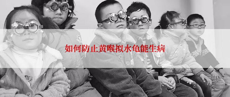 如何防止黄喉拟水龟能生病