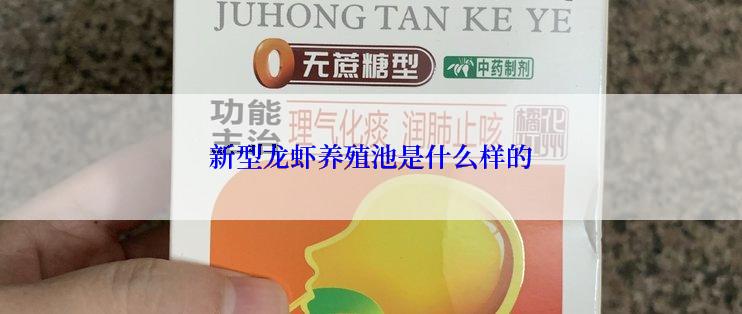 新型龙虾养殖池是什么样的