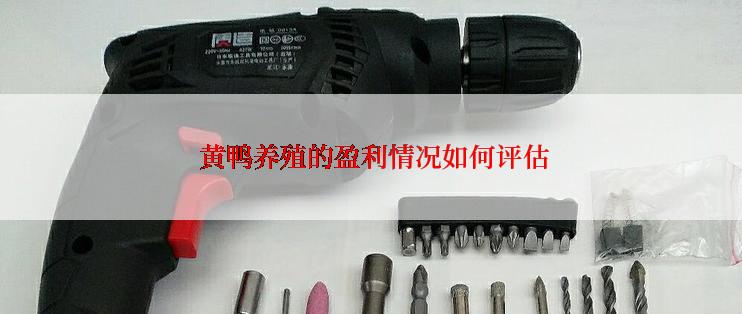  黄鸭养殖的盈利情况如何评估