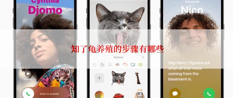  知了龟养殖的步骤有哪些