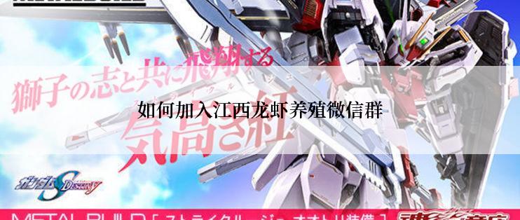 如何加入江西龙虾养殖微信群