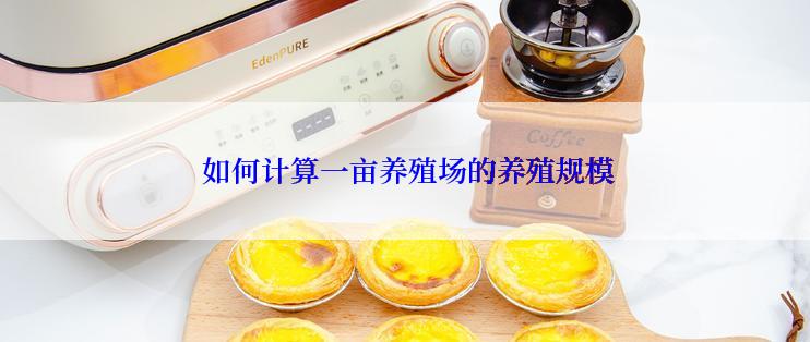  如何计算一亩养殖场的养殖规模