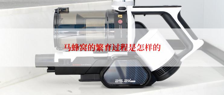 马蜂窝的繁育过程是怎样的