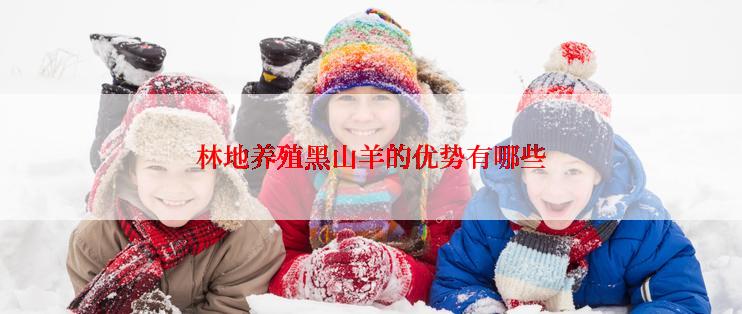 林地养殖黑山羊的优势有哪些