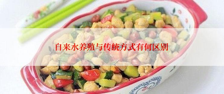 自来水养殖与传统方式有何区别
