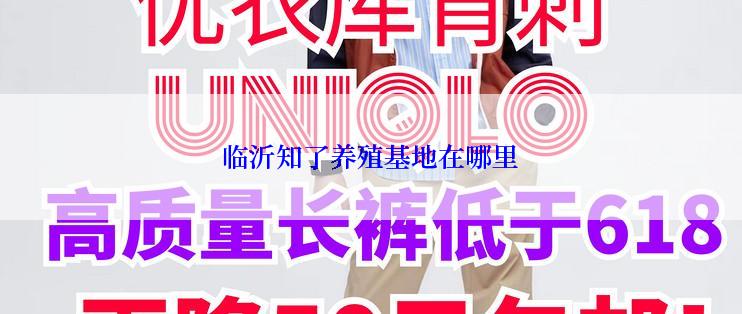 临沂知了养殖基地在哪里