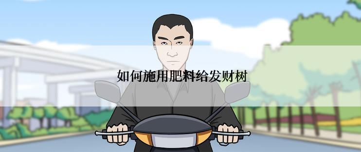  如何施用肥料给发财树