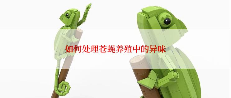 如何处理苍蝇养殖中的异味