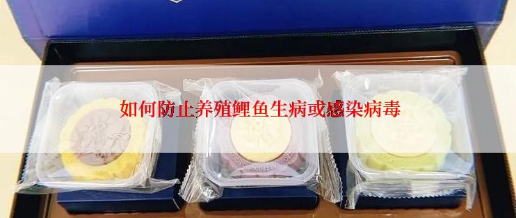  如何防止养殖鲤鱼生病或感染病毒