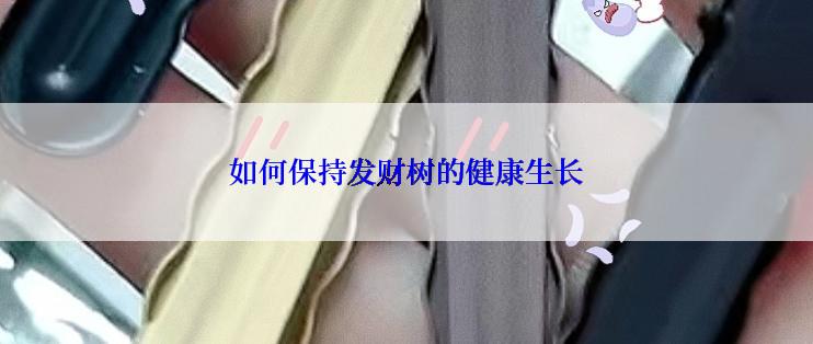 如何保持发财树的健康生长