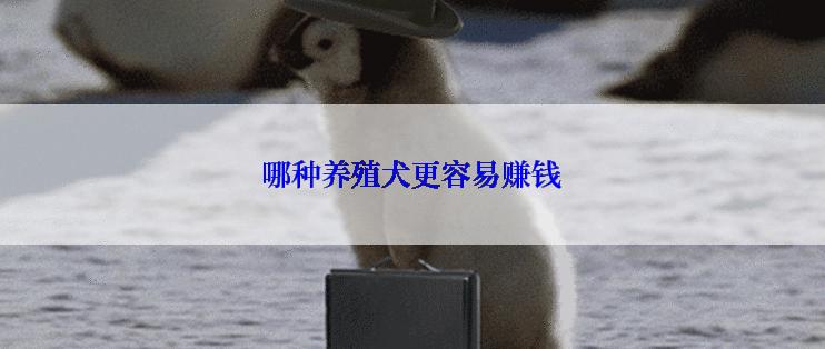 哪种养殖犬更容易赚钱