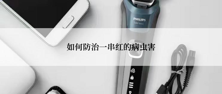如何防治一串红的病虫害