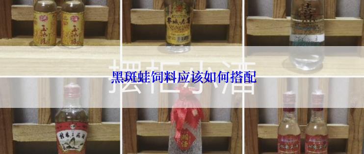  黑斑蛙饲料应该如何搭配