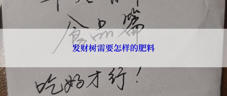 发财树需要怎样的肥料