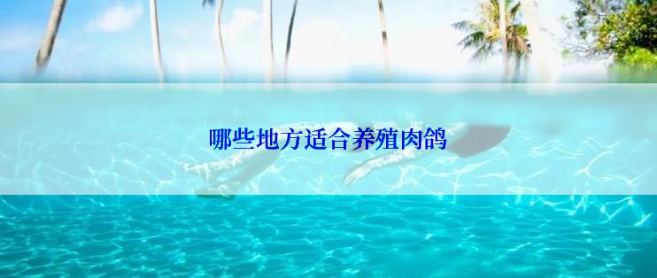 哪些地方适合养殖肉鸽