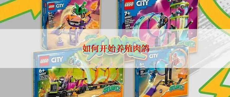  如何开始养殖肉鸽