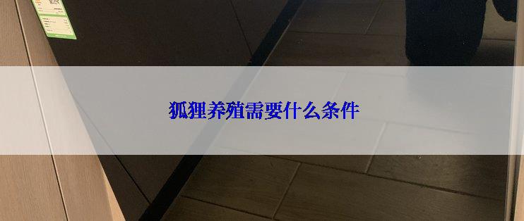  狐狸养殖需要什么条件