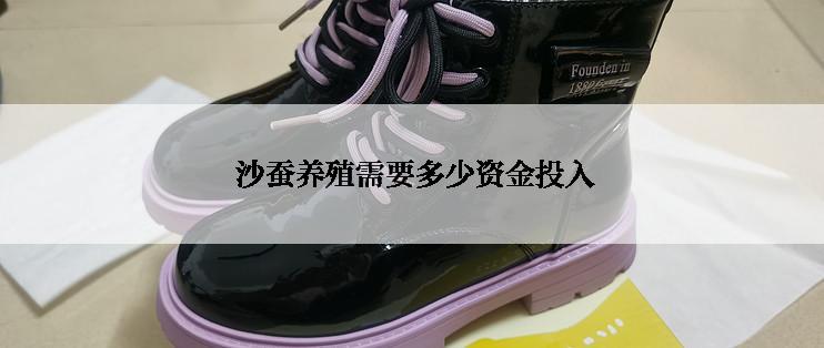  沙蚕养殖需要多少资金投入