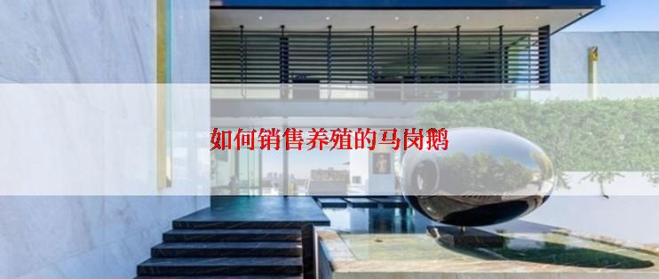 如何销售养殖的马岗鹅