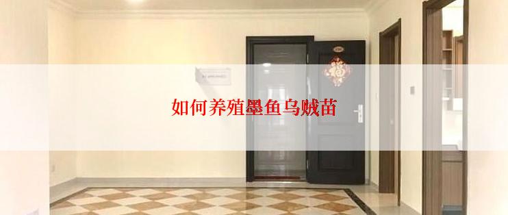 如何养殖墨鱼乌贼苗