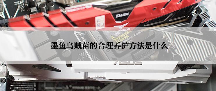  墨鱼乌贼苗的合理养护方法是什么