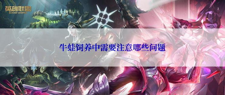 牛蛙饲养中需要注意哪些问题