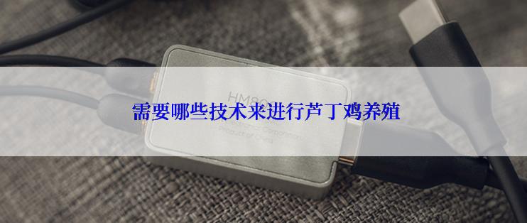  需要哪些技术来进行芦丁鸡养殖