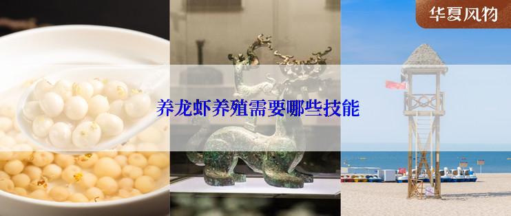  养龙虾养殖需要哪些技能