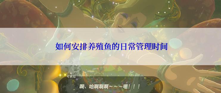  如何安排养殖鱼的日常管理时间
