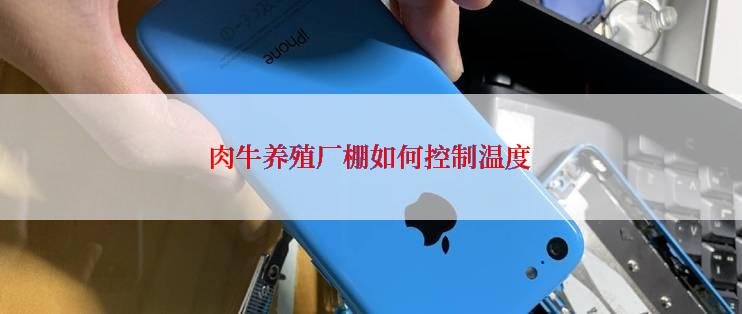 肉牛养殖厂棚如何控制温度