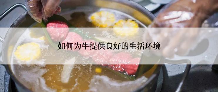 如何为牛提供良好的生活环境