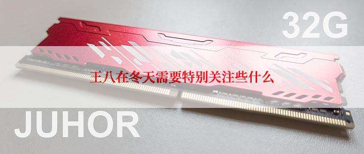 王八在冬天需要特别关注些什么