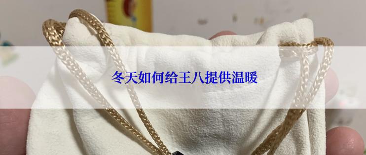  冬天如何给王八提供温暖