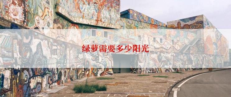 绿萝需要多少阳光