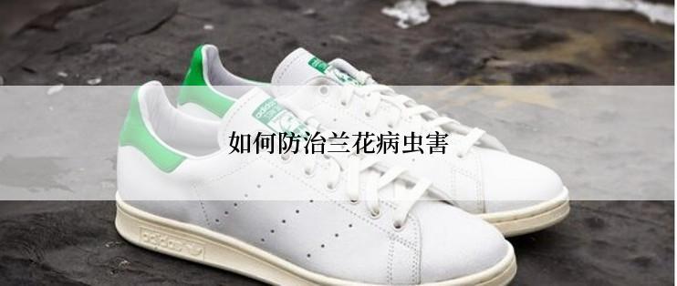 如何防治兰花病虫害