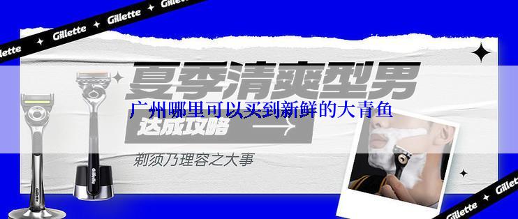  广州哪里可以买到新鲜的大青鱼