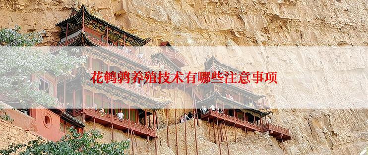 花鹌鹑养殖技术有哪些注意事项