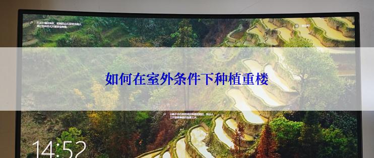 如何在室外条件下种植重楼