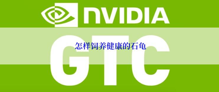  怎样饲养健康的石龟