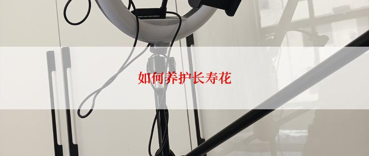 如何养护长寿花