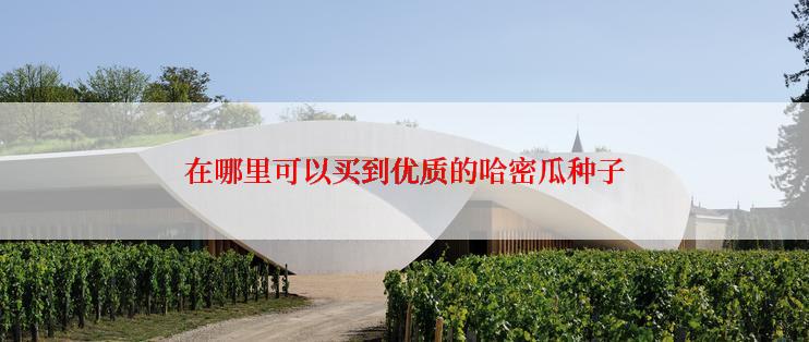 在哪里可以买到优质的哈密瓜种子