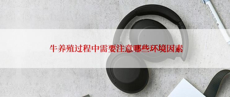  牛养殖过程中需要注意哪些环境因素