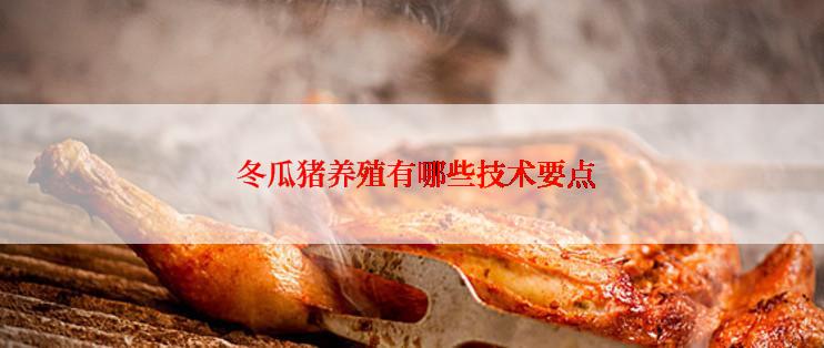  冬瓜猪养殖有哪些技术要点