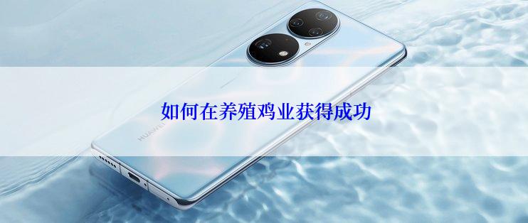  如何在养殖鸡业获得成功