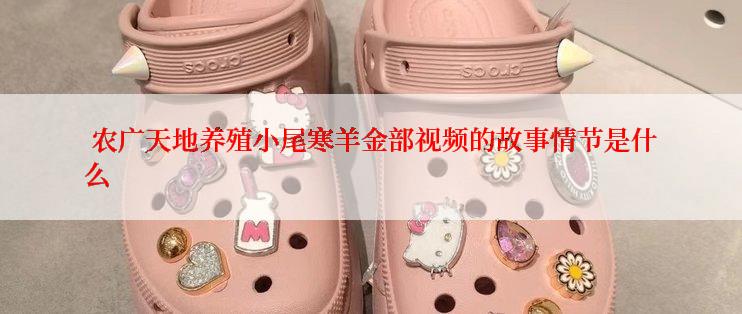  农广天地养殖小尾寒羊金部视频的故事情节是什么