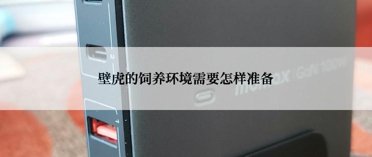 壁虎的饲养环境需要怎样准备