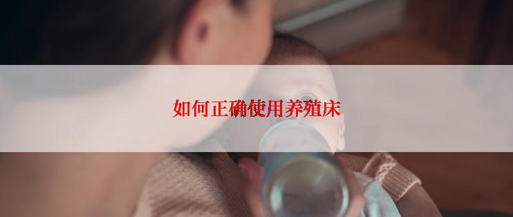 如何正确使用养殖床