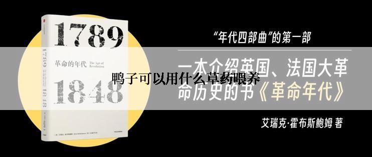 鸭子可以用什么草药喂养